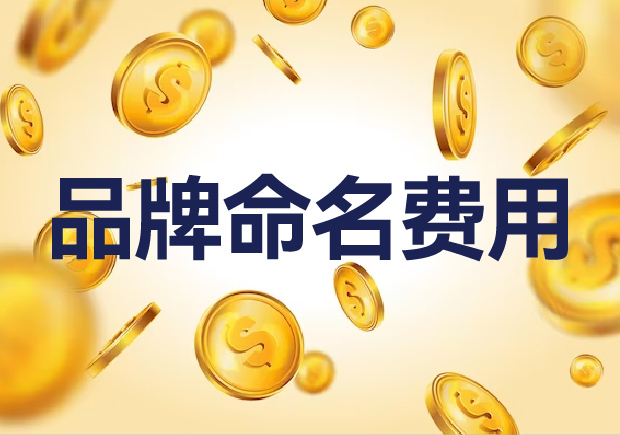 國內(nèi)外品牌命名費用是多少？