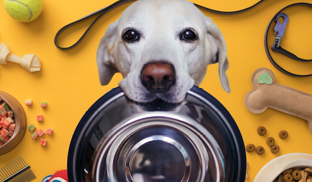 食品品牌起名,商標(biāo)起名,品牌名稱怎么取.png 食品品牌起名,商標(biāo)起名,品牌名稱怎么取.png